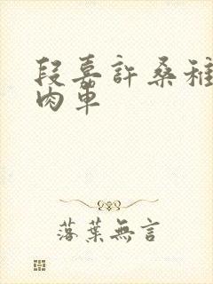 段嘉许桑稚浴室肉车