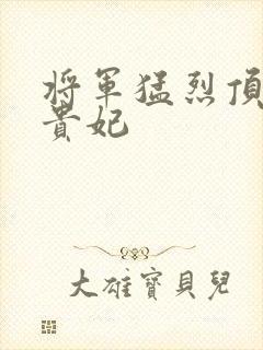 将军猛烈顶弄h贵妃