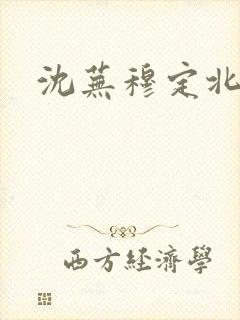 沈芜穆定北小说