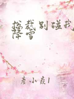 总裁别碰我 韩降雪