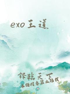 exo王道