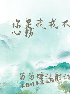 你是我戒不掉的心动