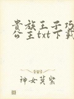 贵族王子巧遇穷公主txt下载