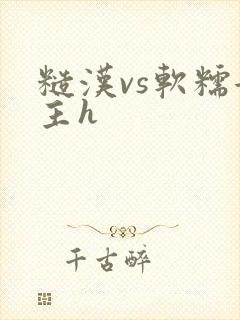 糙汉vs软糯女主h