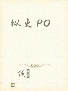 纵火 PO