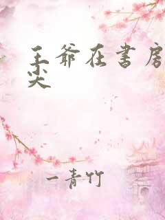 王爷在书房含乳尖