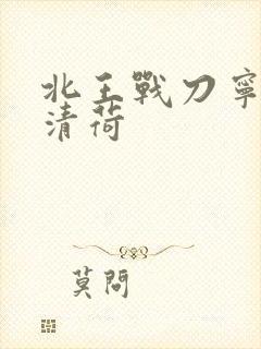 北王战刀宁北苏清荷