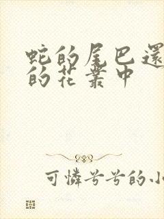 蛇的尾巴还在我的花丛中