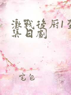 激战后厨1至5集日剧