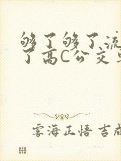 够了够了流出来了高C公交车
