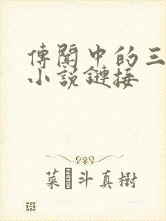 传闻中的三公主小说链接