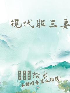 现代版三妻四妾