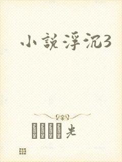 小说浮沉3
