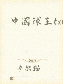 中国球王txt
