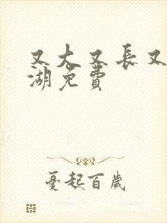 又大又长又租高湖免费