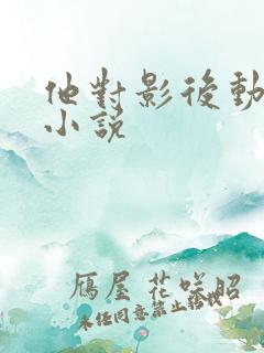 他对影后动了心小说