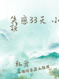失恋33天 小说