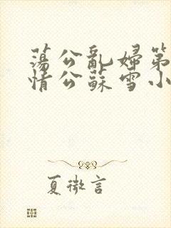 荡公乱妇第1章情公苏雪小说