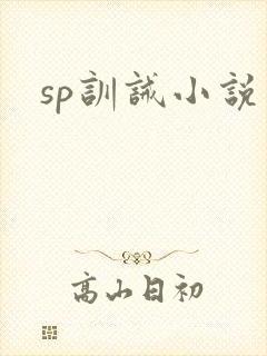 sp训诫小说