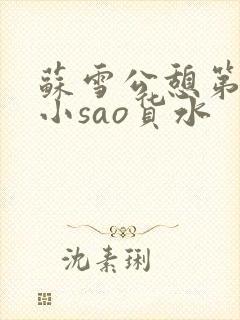 苏雪公憩第一章小sao货水