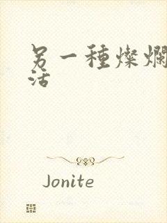 另一种灿烂的生活