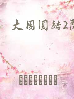 大团圆结2阅读