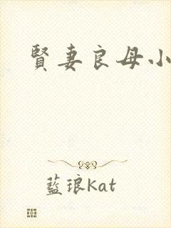 贤妻良母小说