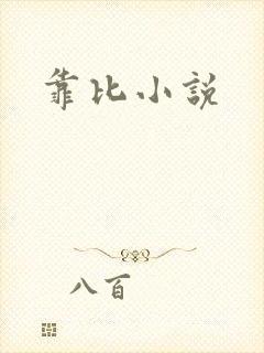靠比小说