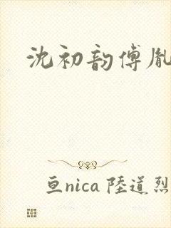 沈初韵傅胤小说