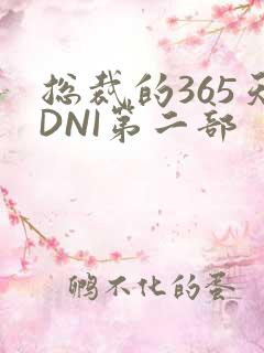总裁的365天DNI第二部