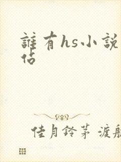 谁有hs小说网站