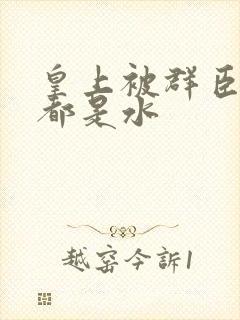 皇上被群臣干的都是水