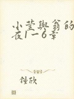 小莹与翁的销魂夜1一6章