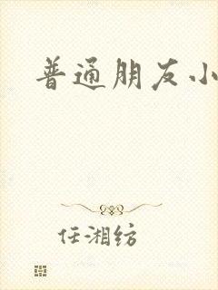 普通朋友小说