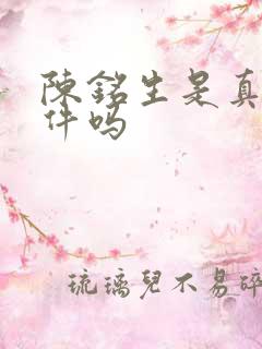 陈铭生是真实事件吗