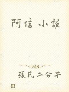 阿信 小说