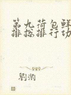 第九荷包鲜辣肉排总排行功能介绍