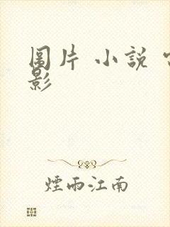 图片 小说 电影