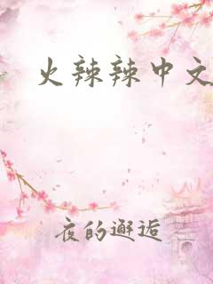 火辣辣中文网