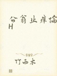 公翁止痒伦理DH