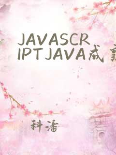 JAVASCRIPTJAVA成熟亲子