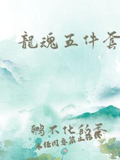 龙魂五件套