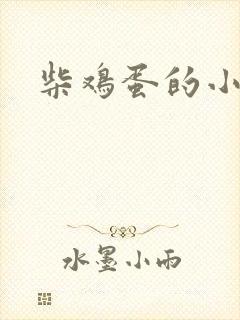 柴鸡蛋的小说