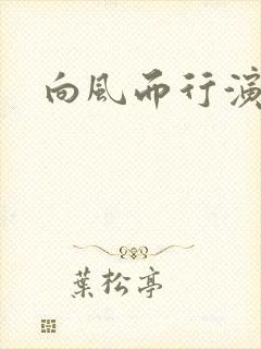 向风而行演员表