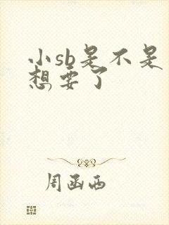 小sb是不是又想要了