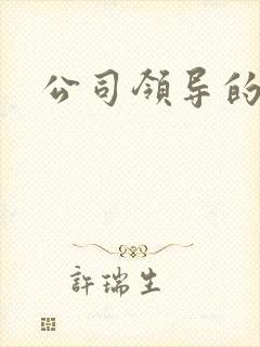 公司领导的老婆