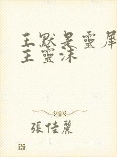 王默是灵犀阁公主灵沫