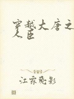 穿越大唐之位极人臣