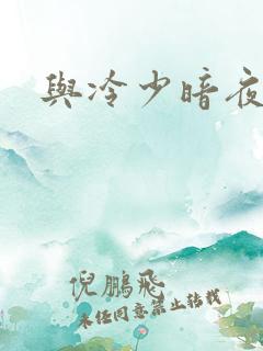 与冷少暗夜孽爱