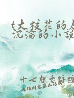 t大校花的屈辱沉沦的小说